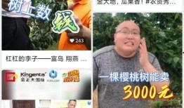 新生社视频被爆料会怎么样,真相与影响深度解析